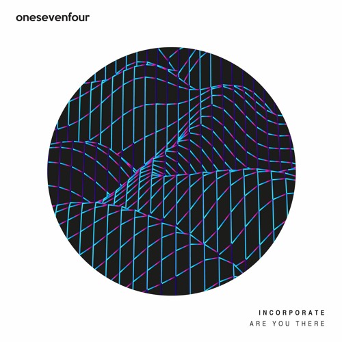 Incorporate - Are You There
