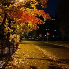 FALLing for u... w/ anka, pool, august #emoplugg #diary