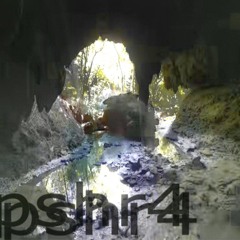 pshr4