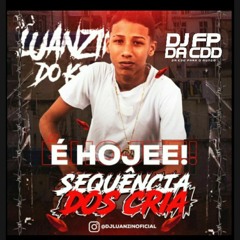 SEQUÊNCIA DOS CRIA (( PART 2 )) DJ LUANZIN DO K11 DJ FP DA CDD 🤴🏻