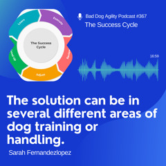367: The Success Cycle