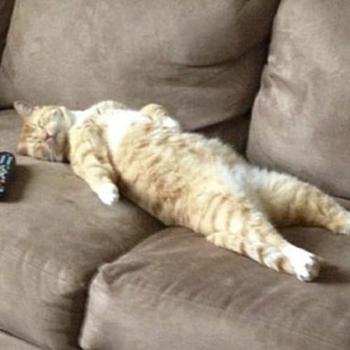 Lazy Days And Sundays - COMBSTEAD / Robert Grigg