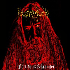 Extreme Metal For Shooters & FPS Audio Pack - Fortidens Skrømter(Wraith of the past)