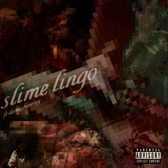 slime lingo ft dameshawtyy