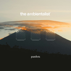 The Ambientalist - Pandora