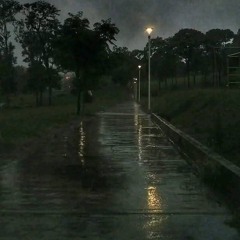 Entre calles lluviosas