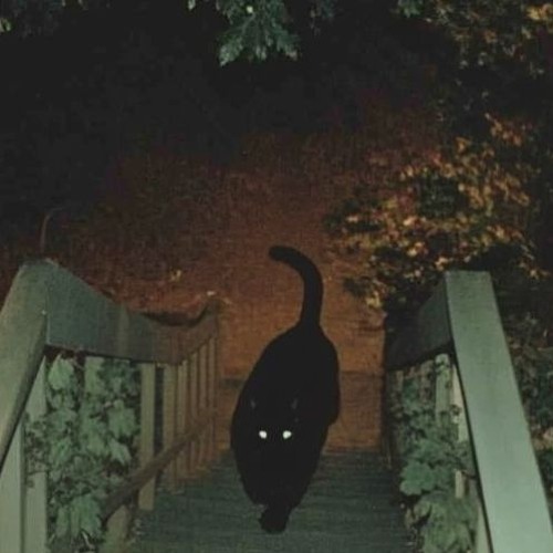 Skrillex - Too Bizarre (Explord Remix)