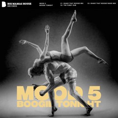 Mood 5 - Boogie Tonight (Shake That Boogie Radio Mix)
