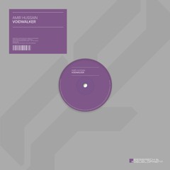 AMIR HUSSAIN - VOIDWALKER (ORIGINAL MIX)
