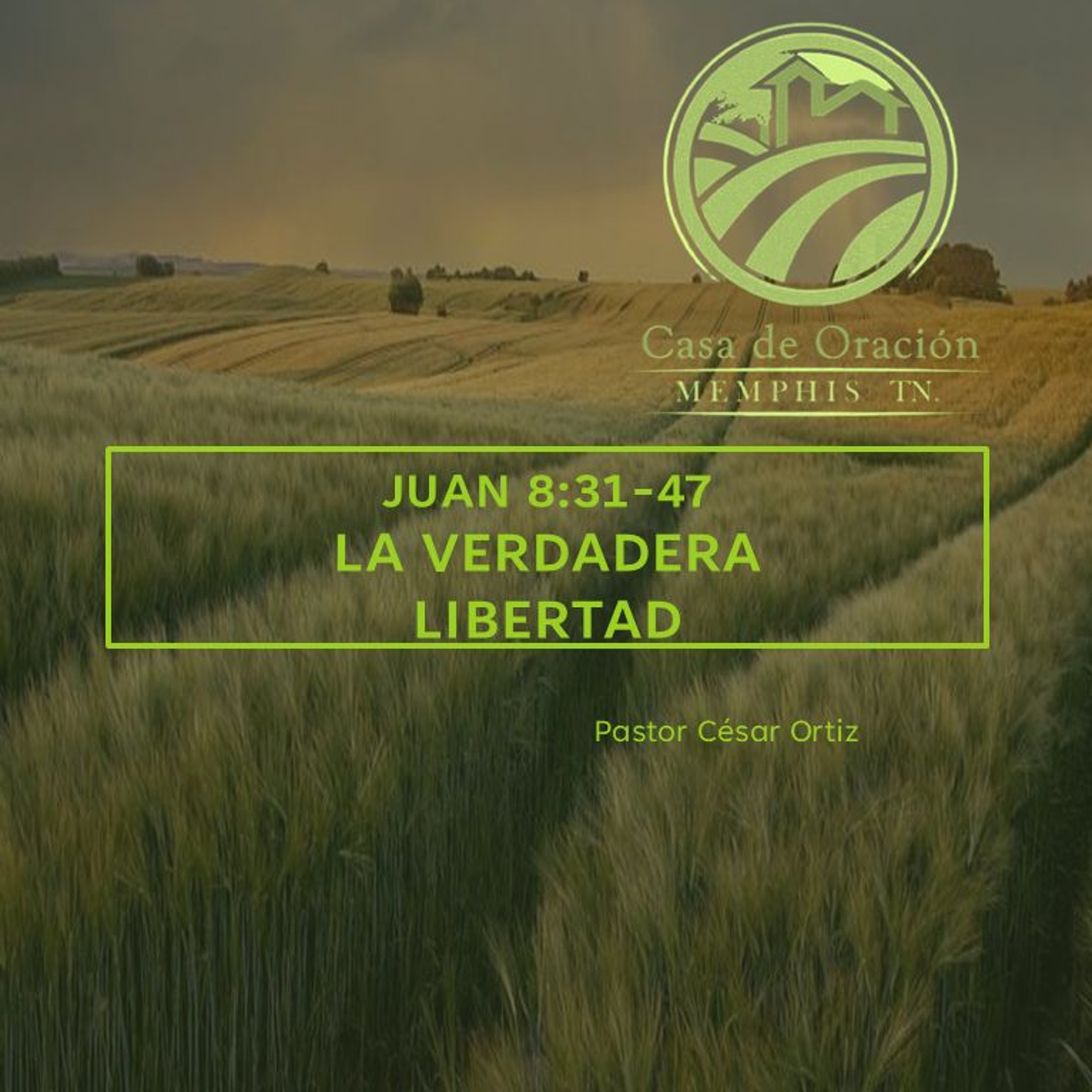 04 | César Ortiz | La Verdadera Libertad | Juan 8:31-47 | 08/22/24 episode artwork