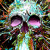 Artwork for Malus