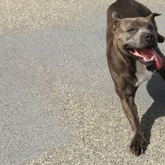 Balm Bagel De LeAnna(Garrett&RandL)