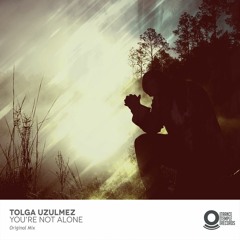 Tolga Uzulmez - YOU'RE NOT ALONE [Original Mix]