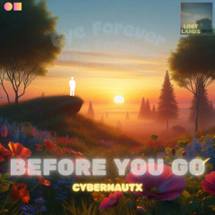 Before You Go