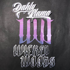 Old Mixes(Dahly Llama)