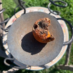 Catching Up With You