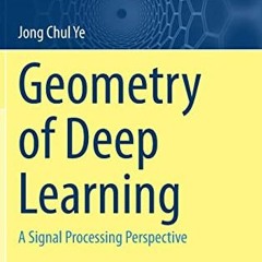[PDF] Read Geometry of Deep Learning: A Signal Processing Perspective (Mathematics in Industry, 37)