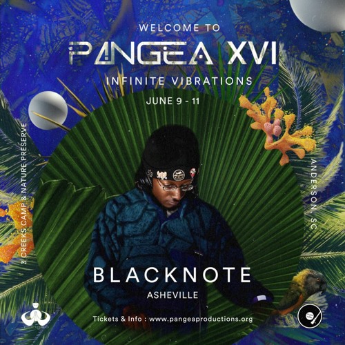 BlackNote - Pangea XVI - 2023-06-10