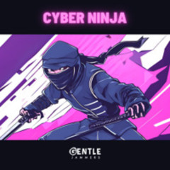 Cyber Ninja