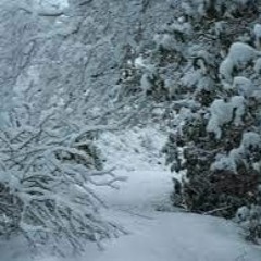 So Cold  (prod. Tsurreal X Lovelife )