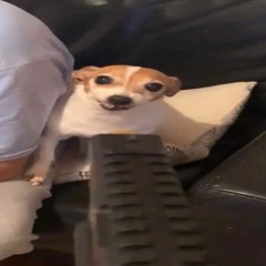 The