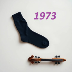 1973 right  sock