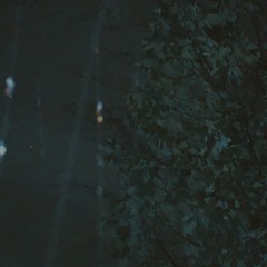 petrichor