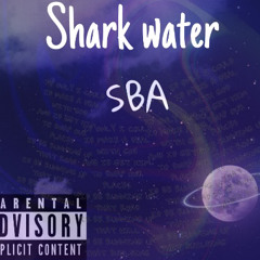 shark water