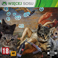 WIECEJ SOSU