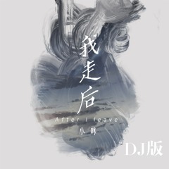我走后 (Dj版)