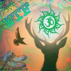 Max Animus – WTF ~ [Progressive House & PsyTrance + Rock + Chillout + Tribal Spots @GTM + Demo @GER]