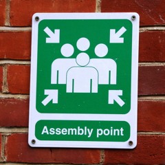 “Where Do I Stand?” Proper 28, Sermon, November 16, 2025 / Luke 21:5–28