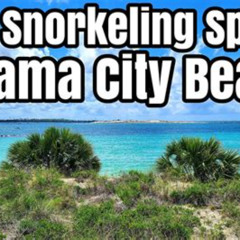 Best Snorkeling Panama City Beach Prices Reviews
