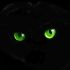 BLACK PANTHER_ WAKANDA FOREVER Trailer 2 Music Version (320 kbps).mp3