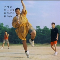 Shaolin Style (Remix) Feat. Carrots Boy