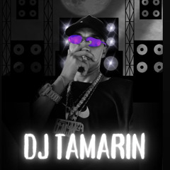 MTG O TIA DESCULPA (MC CHARUTO@DJ TAMARIN)