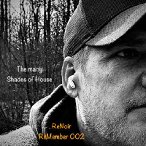 RePlay 004 - The many Shades of House