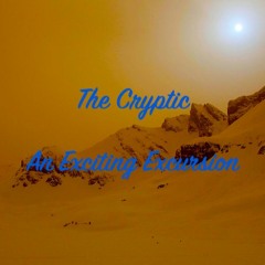 An Exciting Excursion