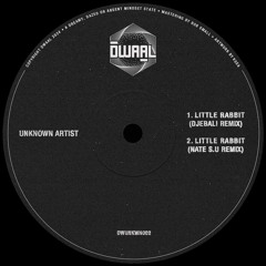 PREMIERE: Unknown Artist - Little Rabbit (Djebali Remix) [DWUNKWN002]