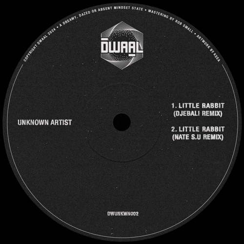 PREMIERE: Unknown Artist - Little Rabbit (Djebali Remix) [DWUNKWN002]