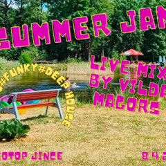 SummerJamLiveMixByVildaMagors