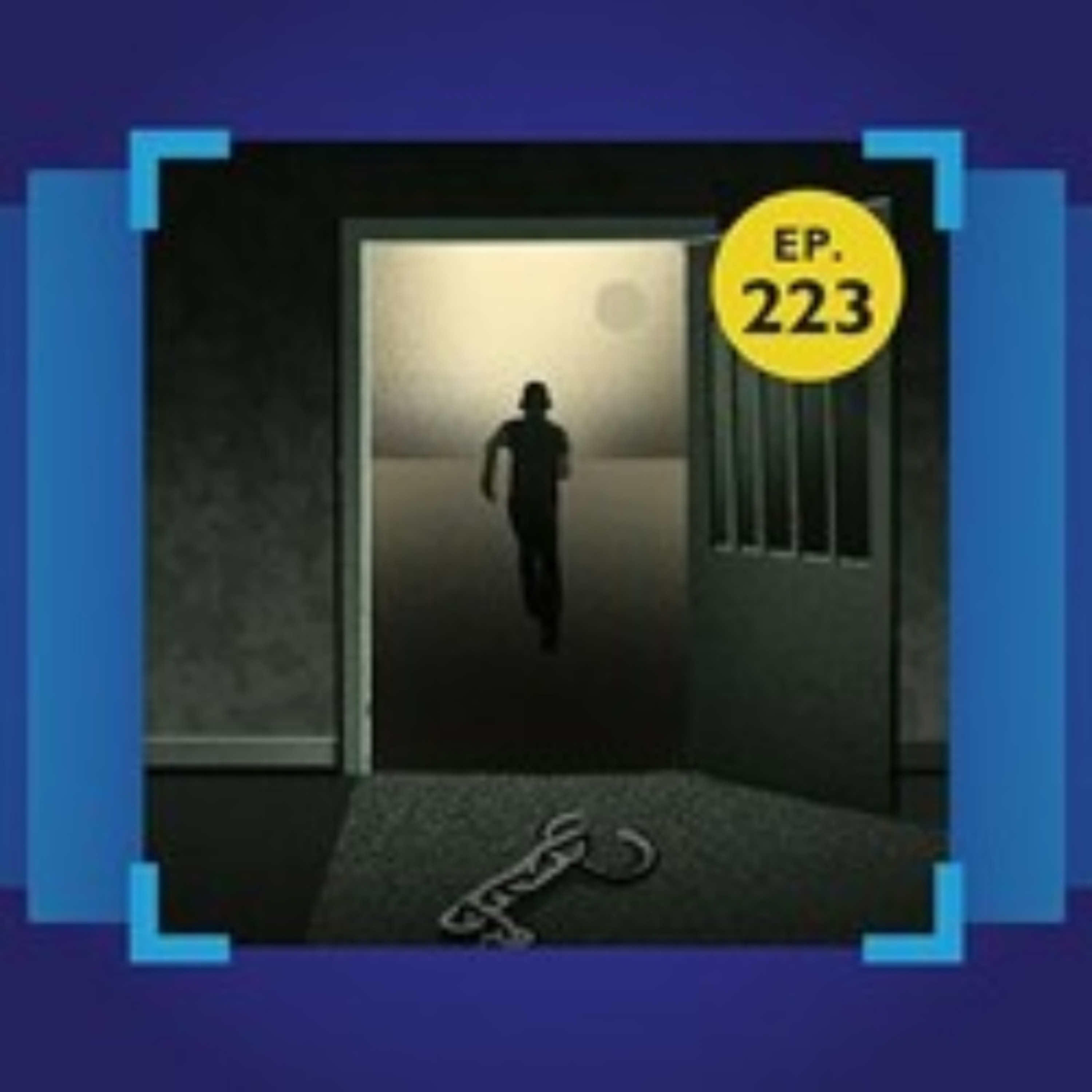 101 Podcast