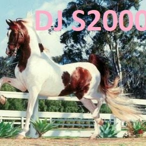 horses on my mind