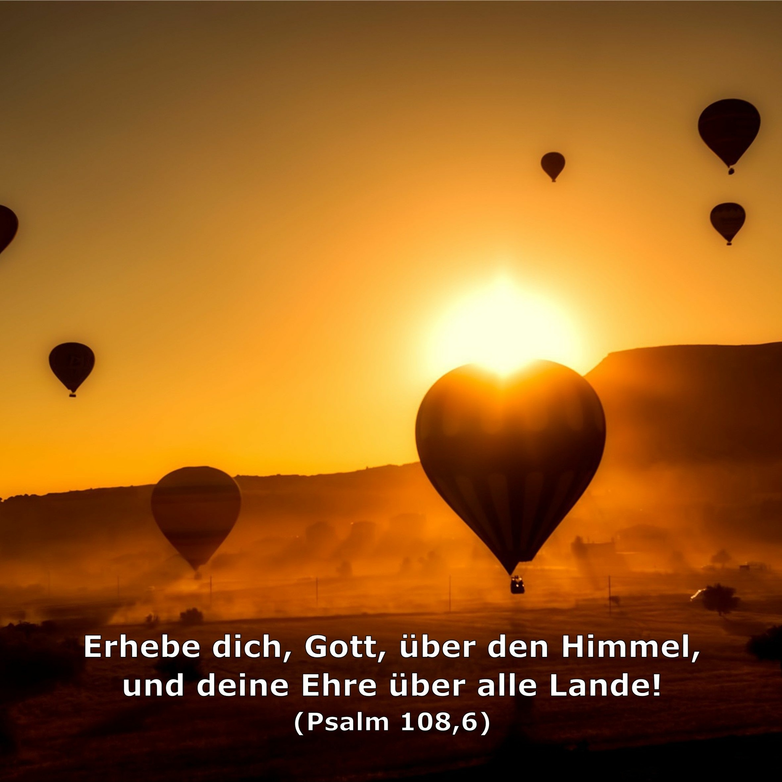 In einem Jahr durch die Bibel