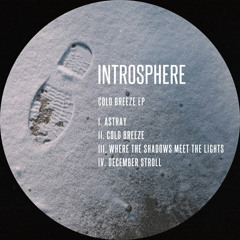 Indefinite Pitch PREMIERES. Introsphere - Astray [Not On Label]