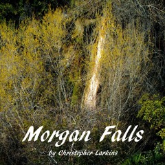 Morgan Falls