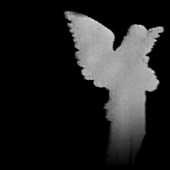 gatekeep {balenci02}