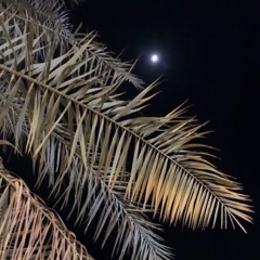 من شاف ذاك الزين ♡