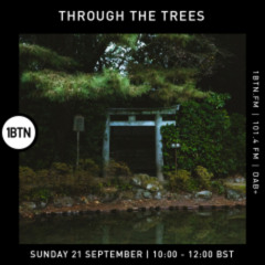 Through The Tree's w Ty - 21.09.25