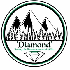 "Diamond (Tactus Music Remix)"